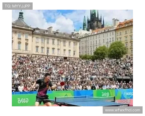 乒乓球运动的魅力与发展历程：从技术革新到国际化的全面解析